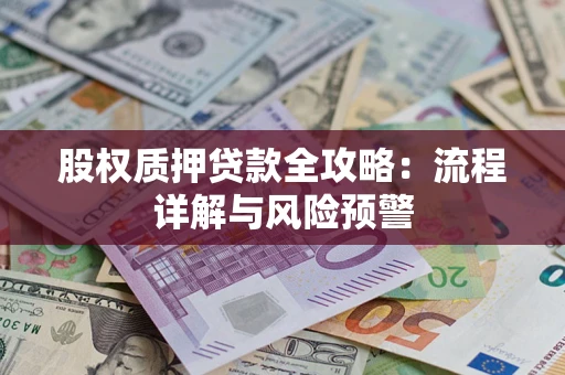 武汉股权质押贷款全攻略：流程详解与风险预警