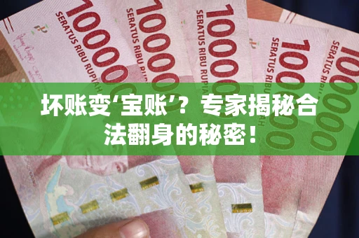 武汉坏账变‘宝账’？专家揭秘合法翻身的秘密！