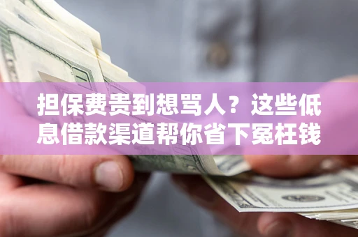 武汉担保费贵到想骂人？这些低息借款渠道帮你省下冤枉钱