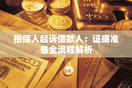 武汉担保人起诉借款人：证据准备全流程解析