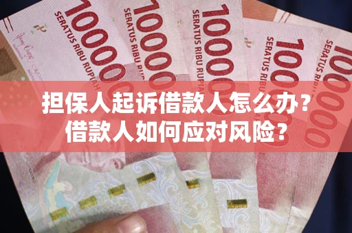 武汉担保人起诉借款人怎么办？借款人如何应对风险？