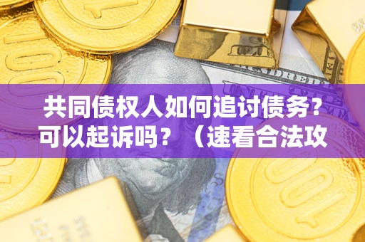 武汉共同债权人如何追讨债务？可以起诉吗？（速看合法攻略）