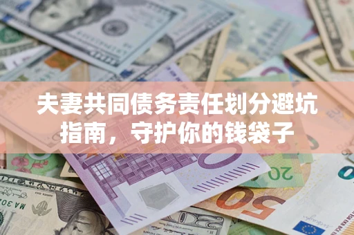 武汉夫妻共同债务责任划分避坑指南，守护你的钱袋子