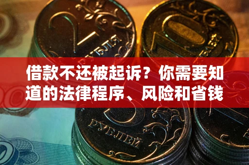 武汉借款不还被起诉？你需要知道的法律程序、风险和省钱技巧