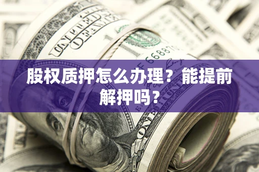 武汉股权质押怎么办理？能提前解押吗？